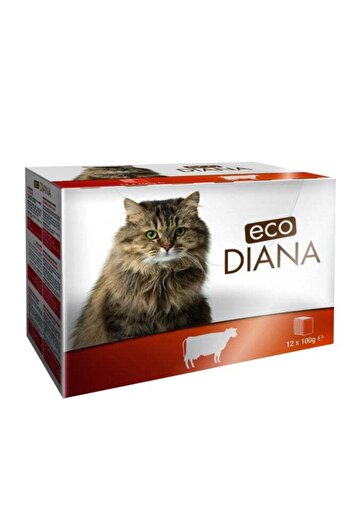 ECO Diana Pack Of 12 Chunks With Beef In Gravy 100grams