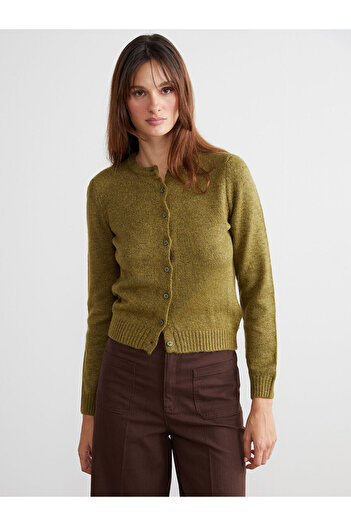 LC Waikiki Vizyon New Season Crew Neck Women's Knitwear Cardigan