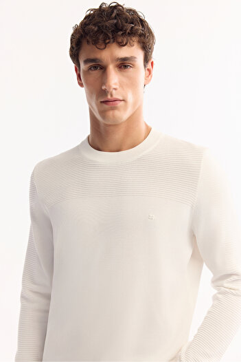 Avva Men's Regular Fit Ecru Crew Neck Rayon Sweater A52Y5018