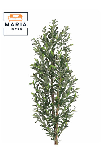 MARIA HOMES Artificial Olive Tree 190 cm – Tall Decorative Indoor Plant with Pot for Home & Majlis