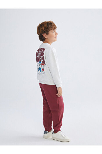 LC Waikiki New Season Paw Patrol Printed Boys' Sweatshirt and Sweatpants Set of 2