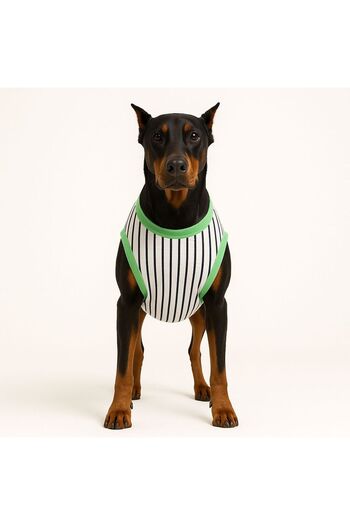 Buddy Store Large Breed Dog Clothing Comfortable and Comfortable Fit Undershirt - (between 18 - 50 kg)