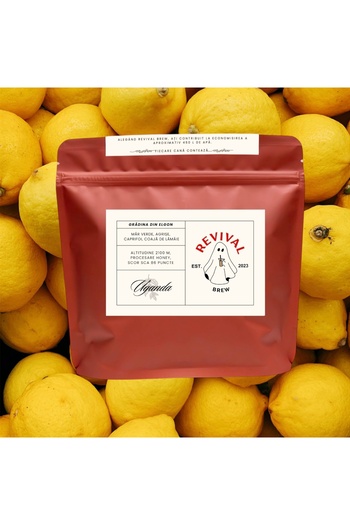 OSIM Revival Brew specialty coffee - Garden of Elgon - 1kg