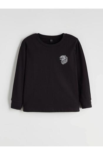 LC Waikiki Crew Neck Printed Boy's T-Shirt