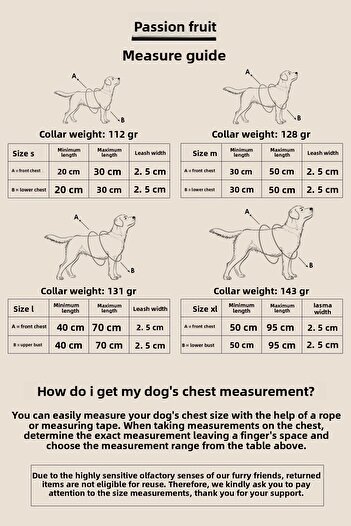 pasiole Dog Harness Walking Harness Neck Harness