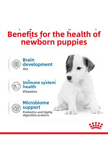 Royal Canin Baby Dog Milk Milk Substitute Food for Puppies 400g
