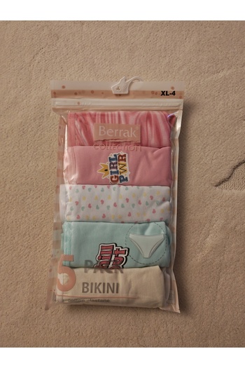Berrak 5-Piece Women's Bikini Cut Panties (Princess Pattern)