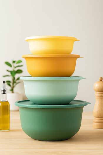Vienev Set of 4 Sizes - Tupy with Lid and Colorful Bowl