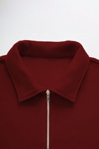COMBİNE MİCHAİL Erkek Yarım Fermuar Regular Fit Sweatshirt Bordo