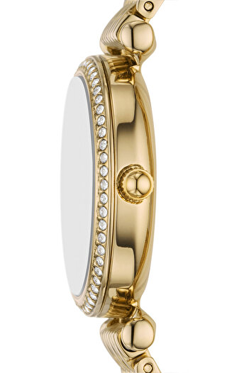 Fossil Fes5309 Women's Wristwatch