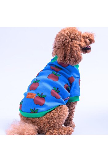 Pettrend Apple Camisole Apple Patterned Sweatshirt Cat Dog Sweatshirt Cat Dog Outfit