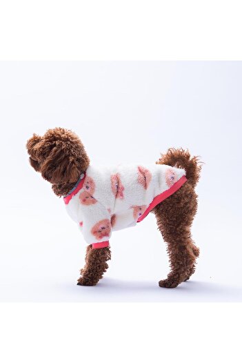 Pettrend Fluffy Face Bear Patterned Sweat Cat Dog Sweati Cat Dog Outfit Dog Plush Warm Sweat