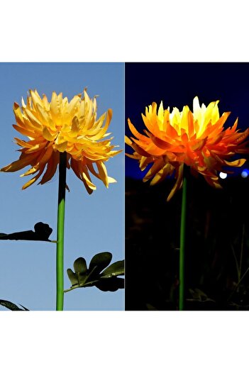 Flippy Lampa Solara LED tip Crizantema cu o floare pentru Gradina, Inaltime 80 cm,