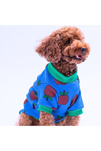 Pettrend Apple Camisole Apple Patterned Sweatshirt Cat Dog Sweatshirt Cat Dog Outfit