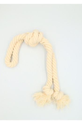 Eva & Wall-e Cotton Rope Dog Toy for Small Breeds |   Teeth Cleaner String Chew Toy