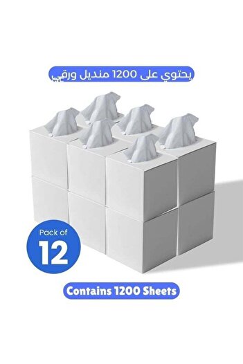 NİCE Touch 2 Ply Facial Tissue 1200 Sheets in Cube Boxes