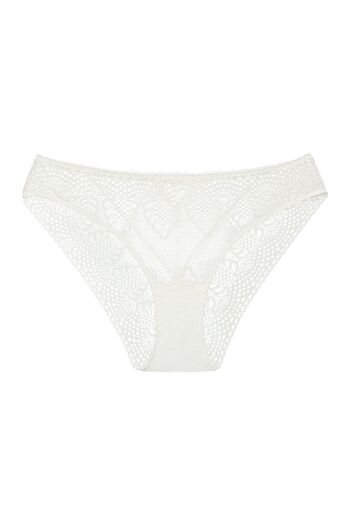 ESOTIQ Women's Panties Mesh & Lace Brief Back Cut Out Elegant & Sexy | Marvela
