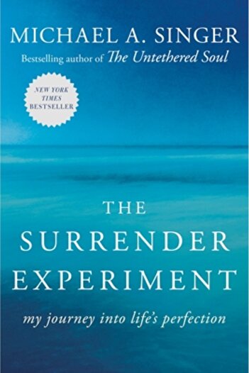 Harmony The Surrender Experiment: My Journey Into Life's Perfection