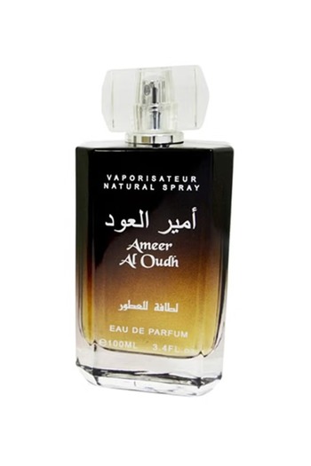 Yves Saint Laurent Amir Al Oud Eau de Parfum 100ml for Unisex