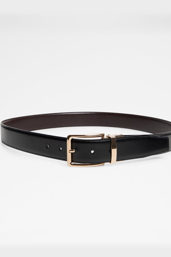 Aldo Nicholas - Men's Brown Belt