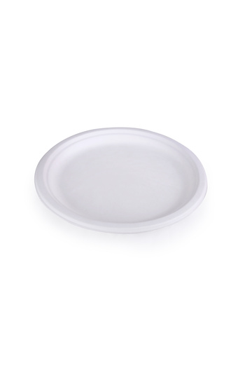 Green Gift Concepts - 10" Biodegradable Plates – Eco-Friendly, Compostable & Disposable Plates (100pc)