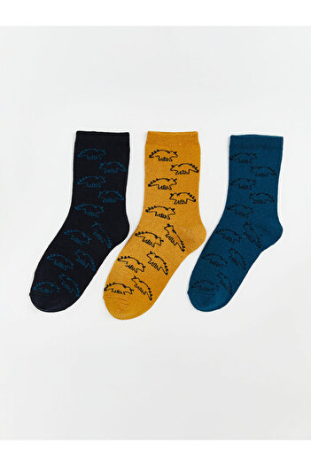 LC Waikiki Patterned Boy Booties Socks