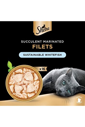 SHEBA Cat Food Sustainable White Fish Filets, Pack of 16x60g