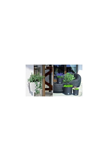 Prosperplast Decorative planter with chain, round, brown, 25.621.9 cm, Rato Round WS