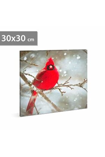 Mercaton LED Canvas – Red Finch – 2 AA Batteries – 30 x 30 cm
