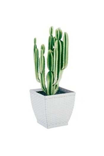 Prosperplast Ghiveci Decorativ Ratolla pentru Flori, Imitatie Ratan, 19×16.2 cm, Alb
