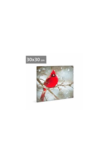 Mercaton LED Canvas – Red Finch – 2 AA Batteries – 30 x 30 cm