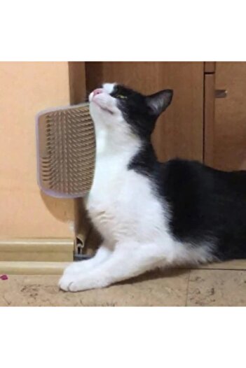 KESNUP Wall Brush for Cats for Grooming with Matthew Grass