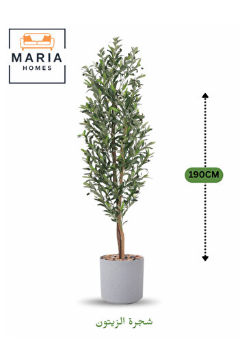 MARIA HOMES Artificial Olive Tree 190 cm – Tall Decorative Indoor Plant with Pot for Home & Majlis