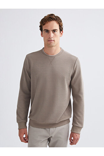 LC Waikiki Crew Neck Long Sleeve Men's Sweatshirt