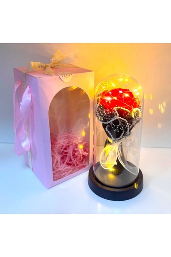 velve Eterno, soap rose in glass dome with LED, Red