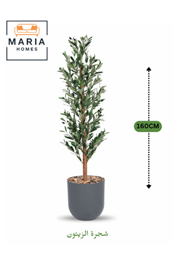 MARIA HOMES Artificial Olive Tree 160 cm – Tall Decorative Plant with Dark Gray Plastic Pot for home & office