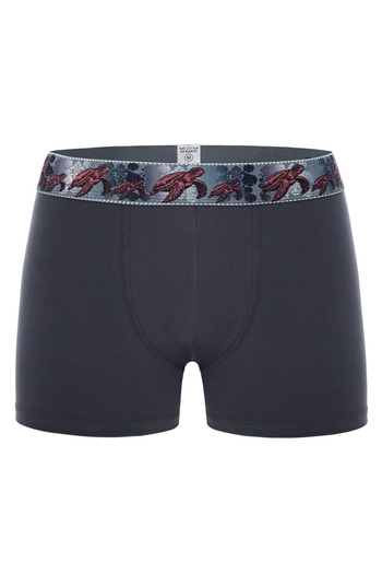 Saint Sail Cotton Lycra Stretch Fabric Printed Colorful Turtle Pattern Men's Boxer