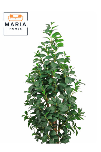 MARIA HOMES Artificial Lemon Leaf Tree 165 cm – Green Foliage in Round Grey Plastic Pot for home decor