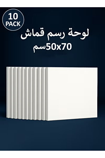 Taimi قماش قطني مشدود مسبقًا مقاس 70×50 سم - 10 قطع للرسم بالأكريليك والزيت