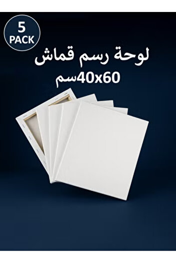 Taimi قماش قطني مشدود مسبقًا مقاس 60×40 سم - 5 قطع للرسم بالأكريليك والزيت