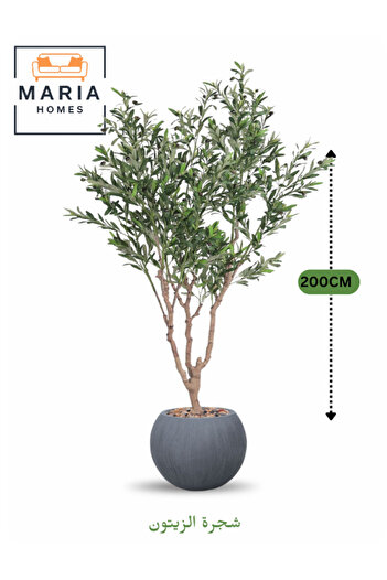 MARIA HOMES Artificial Olive Tree 200 cm – Green Foliage with Dark Grey Fiber Pot for home & office decor
