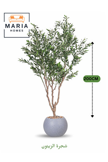 MARIA HOMES Artificial Olive Tree 200 cm – Indoor Decorative Plant with Grey Plastic Pot for Home & Office decor