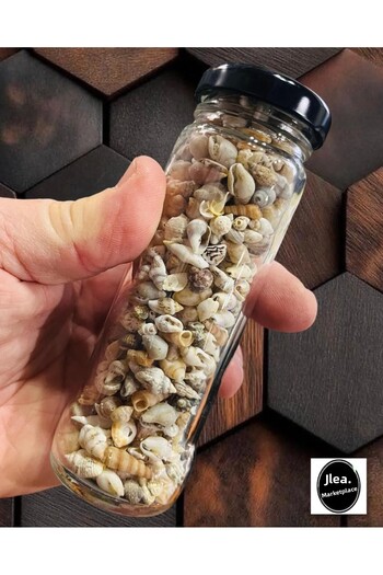 Artdeco Nassa Shell Real Tiny Seashells μέτρια. 250 τεμάχια - Χωρίς τρύπα - ( 0,30 - 1,50 mm )