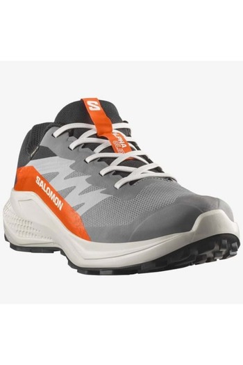 Salomon Alpha Glide Gtx Gore-Tex ®   Men's Sneakers Gray