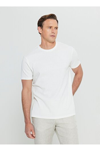 ALTINYILDIZ CLASSICS Altınyıldız Classics Bisiklet Yaka Jakarlı Ekru Erkek T-Shirt ACE091252303_EKR