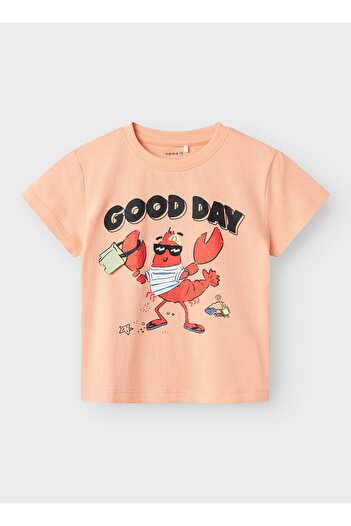 name ıt Printed Red Boy's T-Shirt 13241295