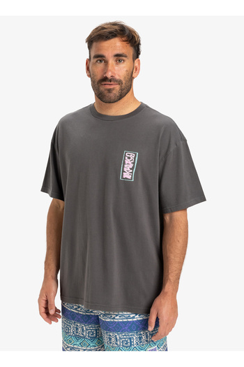 Quiksilver Men's T-Shirt - Dark Shadow Model