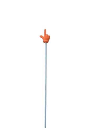 heptex 3D Printed Lecture Presentation Stick