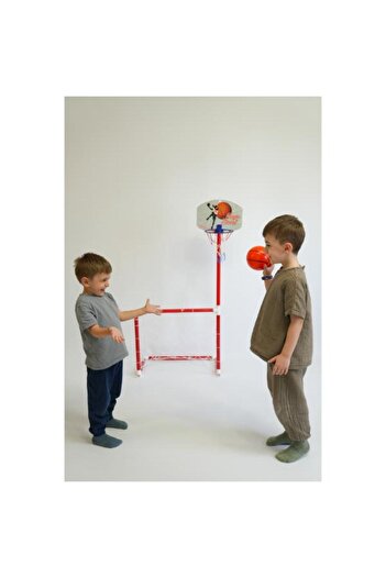 AMAZON TOHUM Portable Basketball - Basketball Hoop 2 in 1