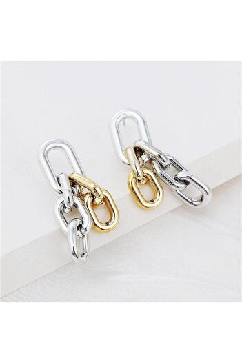 Pursehuit Silver earrings, with gold links, Salme C8